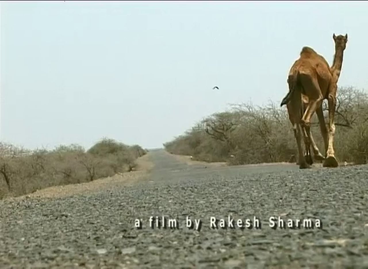 FINAL SOLUTION featuring director Rakesh Sharma The Athena Cinema