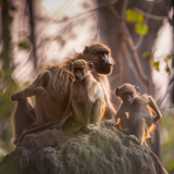 intotheokavango_ngm_40_973662f6