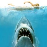 jaws_main-banner_photo